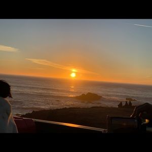 Meet your Posher, Cheyenne